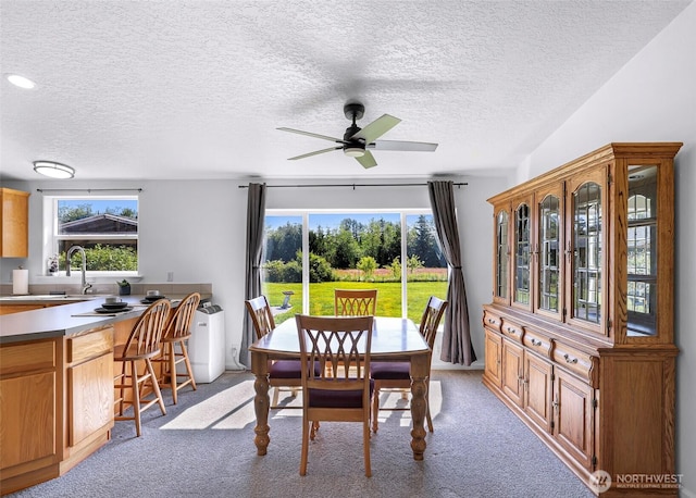8654 Valley View Rd, Custer, WA 98240 - dining room featuring healthy amount of natural light, a ceiling fan, light colored carpet, and a textured ceiling