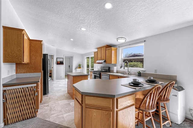 8654 Valley View Rd, Custer, WA 98240 - kitchen featuring stainless steel appliances, a kitchen island, a textured ceiling, a peninsula, and under cabinet range hood