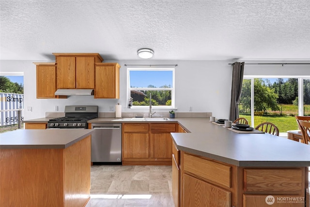 8654 Valley View Rd, Custer, WA 98240 - kitchen with stainless steel appliances, under cabinet range hood, a peninsula, a textured ceiling, and healthy amount of natural light