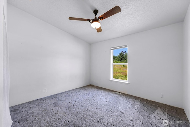 8654 Valley View Rd, Custer, WA 98240 - spare room featuring carpet, ceiling fan, and a textured ceiling