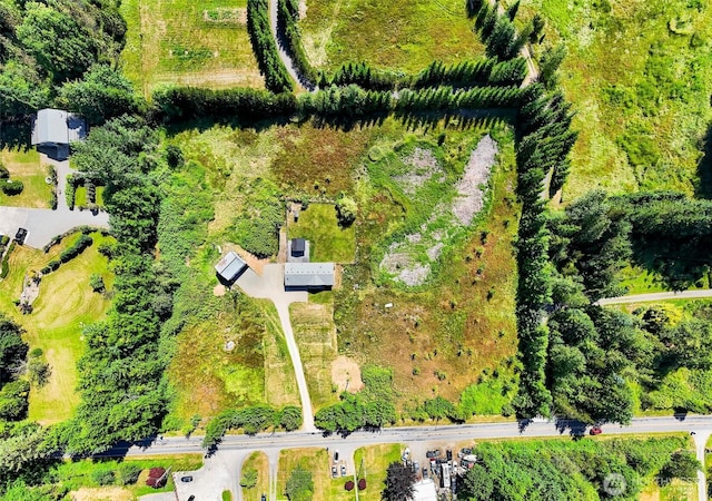 8654 Valley View Rd, Custer, WA 98240 - bird's eye view