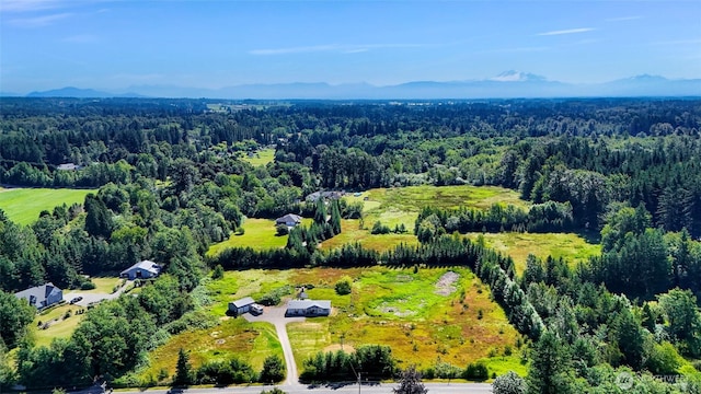 8654 Valley View Rd, Custer, WA 98240 - aerial view of a heavily wooded area
