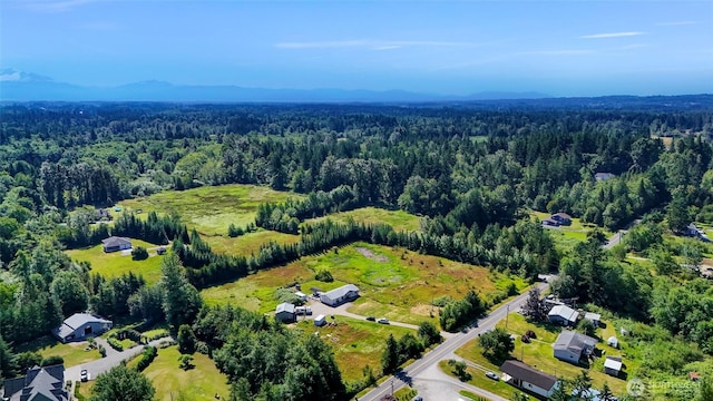 8654 Valley View Rd, Custer, WA 98240 - bird's eye view of a forest