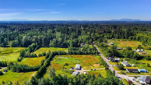 8654 Valley View Rd, Custer, WA 98240 - drone / aerial view of a mountainous background
