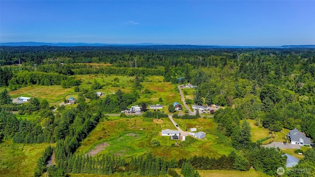 8654 Valley View Rd, Custer, WA 98240 - drone / aerial view of a heavily wooded area