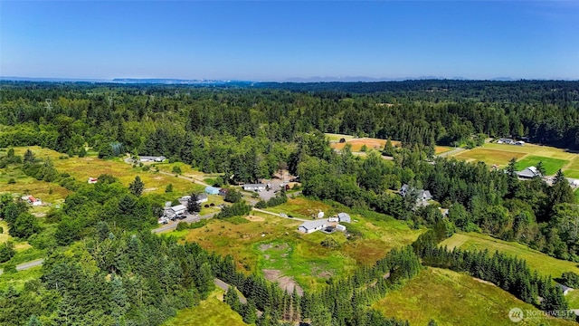 8654 Valley View Rd, Custer, WA 98240 - bird's eye view of a heavily wooded area