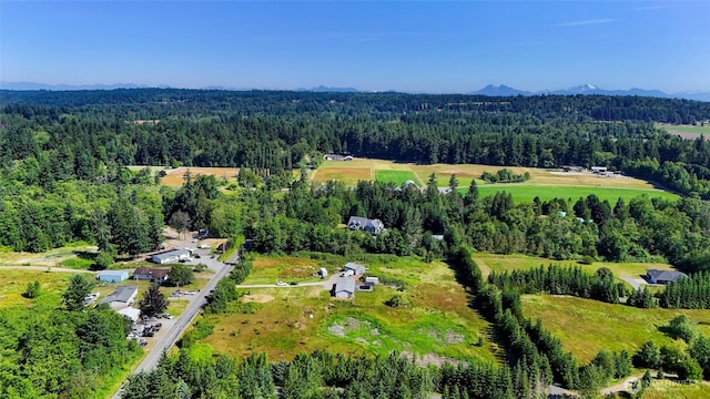 8654 Valley View Rd, Custer, WA 98240 - aerial view of a forest and a mountain backdrop