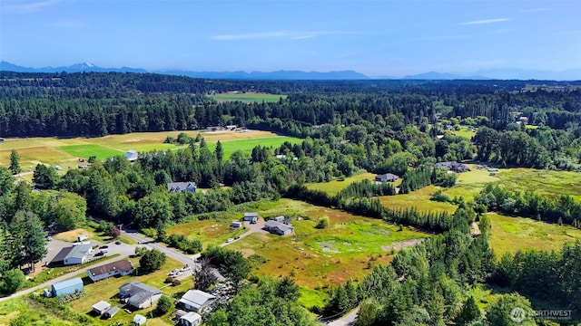 8654 Valley View Rd, Custer, WA 98240 - aerial view of a forest and a mountain backdrop