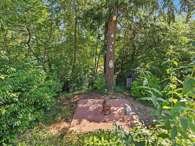 13514 3rd Ave NE, Seattle, WA 98125 - view of yard with a patio