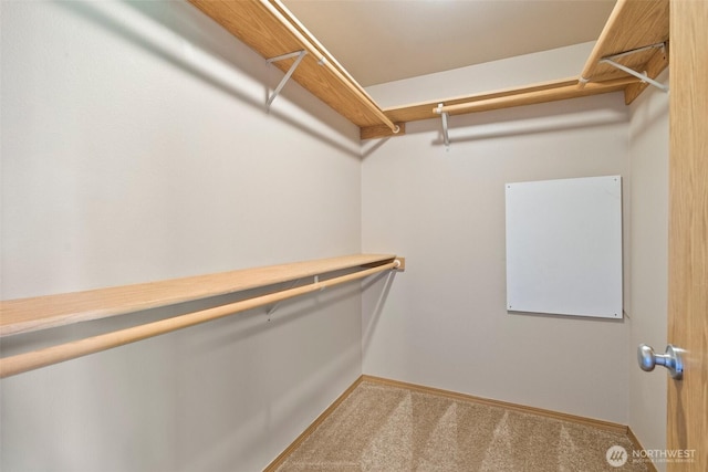 3005 Powder Ridge St SE, Olympia, WA 98501 - photo 13