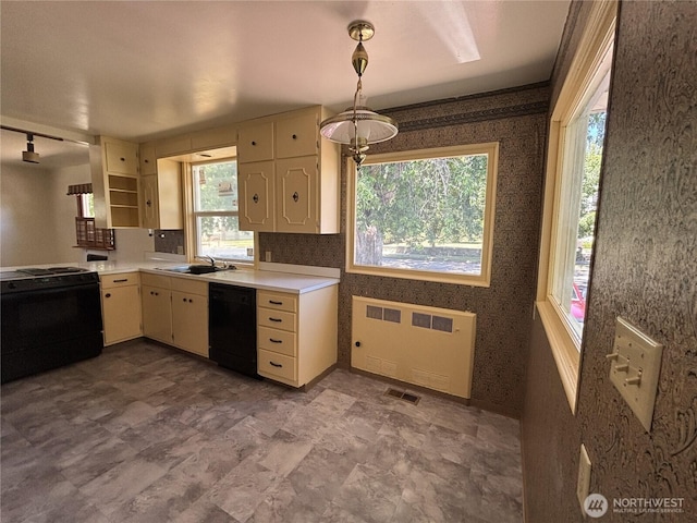 214 N 2nd St, Dayton, WA 99328 - kitchen featuring black appliances, radiator, light countertops, hanging light fixtures, and rail lighting