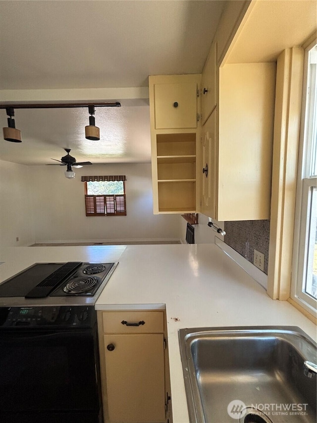 214 N 2nd St, Dayton, WA 99328 - kitchen with black / electric stove, a ceiling fan, and light countertops