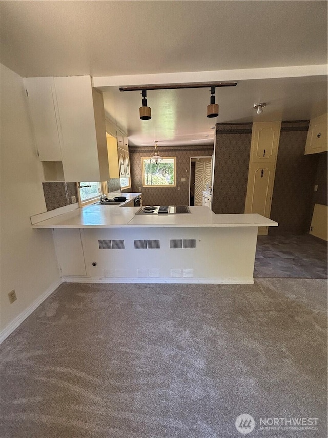 214 N 2nd St, Dayton, WA 99328 - kitchen featuring dark colored carpet, track lighting, light countertops, and a peninsula