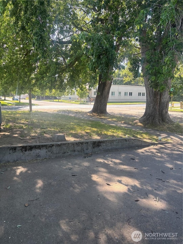 214 N 2nd St, Dayton, WA 99328 - view of yard
