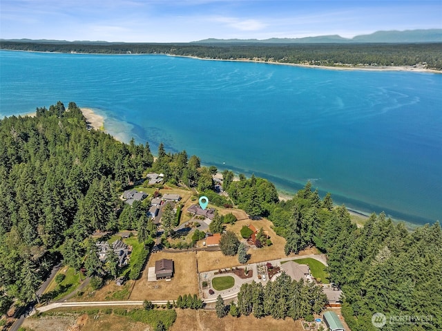 9211 96th St NW, Gig Harbor, WA 98332 - photo 40