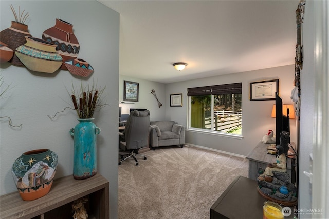 308 Atmore Rd, Toutle, WA 98649 - photo 15