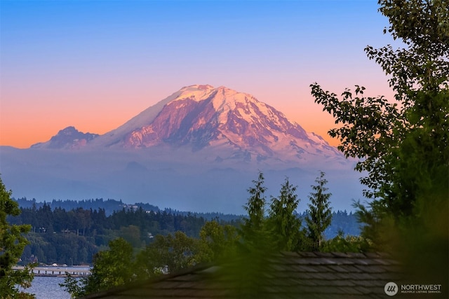 5244 Pullman Ave NE, Seattle, WA 98105 - view of mountain background featuring a heavily wooded area