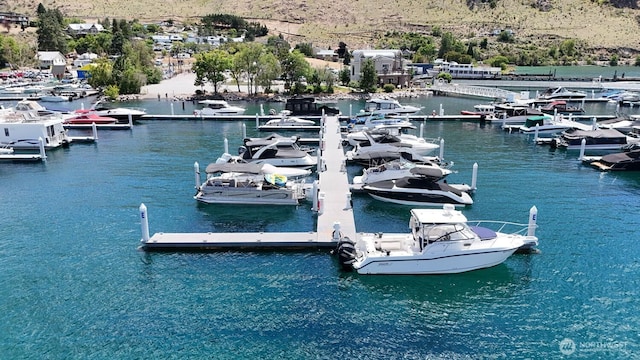 1350 W Woodin Ave Unit Ede2, Chelan, WA 98816 - dock with view of marina and a water view