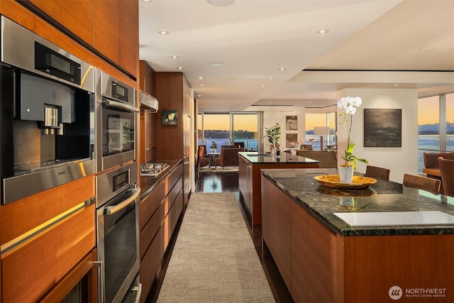 99 Union St Unit 1601, Seattle, WA 98101 - kitchen with a kitchen island with sink, appliances with stainless steel finishes, modern cabinets, under cabinet range hood, and open floor plan