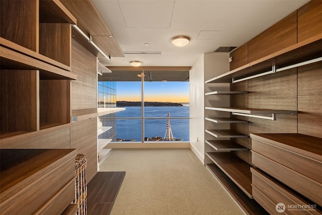 99 Union St Unit 1601, Seattle, WA 98101 - walk in closet featuring dark colored carpet