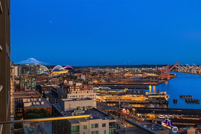 99 Union St Unit 1601, Seattle, WA 98101 - city view
