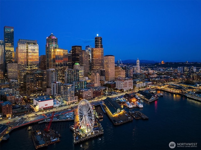 99 Union St Unit 1601, Seattle, WA 98101 - city view featuring a view of city lights and a nearby body of water