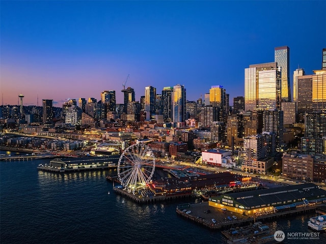 99 Union St Unit 1601, Seattle, WA 98101 - skyline view featuring a large body of water