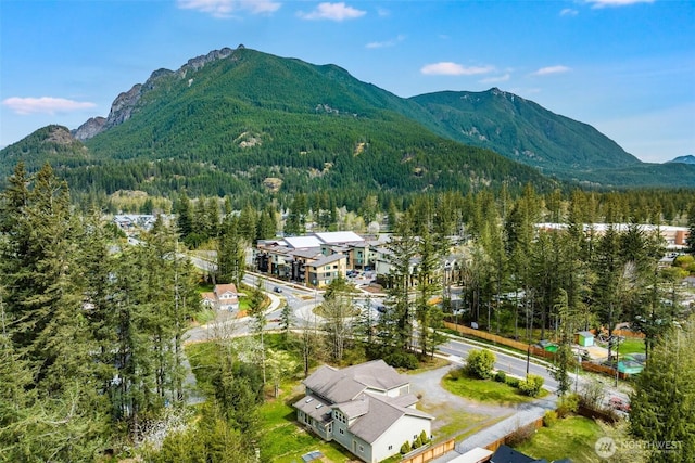13617 436th Ave SE, North Bend, WA 98045 - photo 38