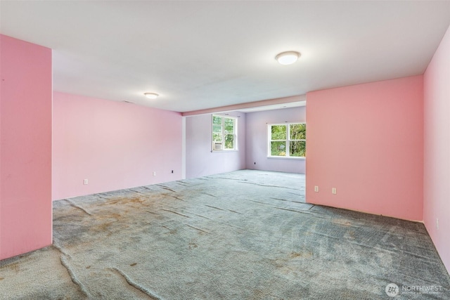 13617 436th Ave SE, North Bend, WA 98045 - photo 25