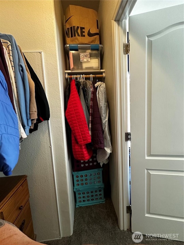 1720 Maple Ln Unit 33, Kent, WA 98031 - view of closet