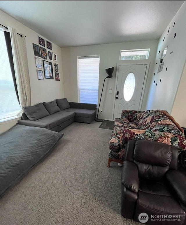 1720 Maple Ln Unit 33, Kent, WA 98031 - view of carpeted living room