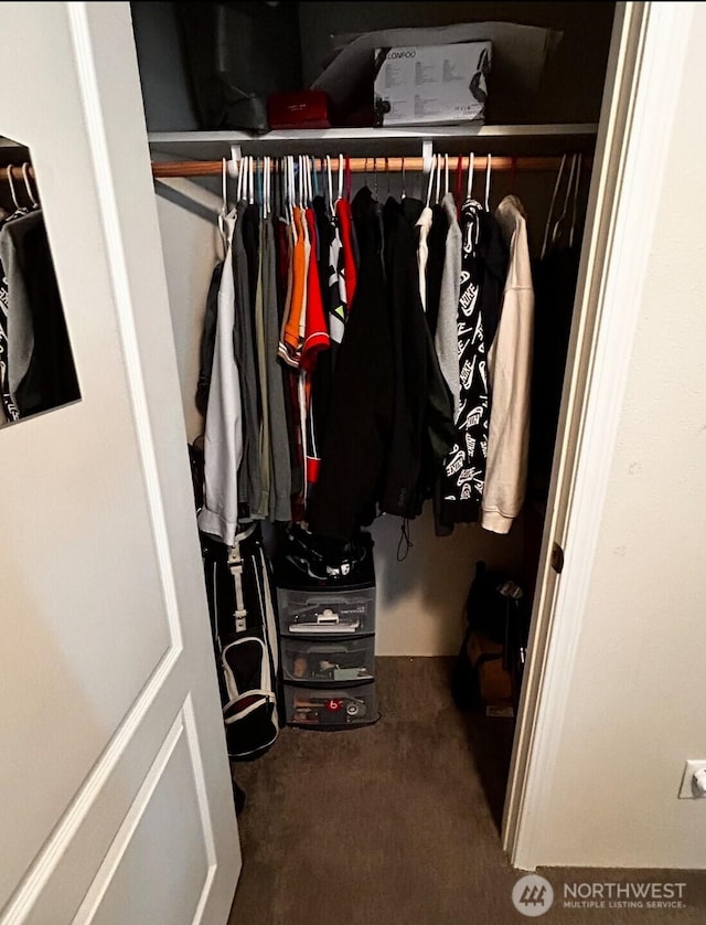 1720 Maple Ln Unit 33, Kent, WA 98031 - view of closet