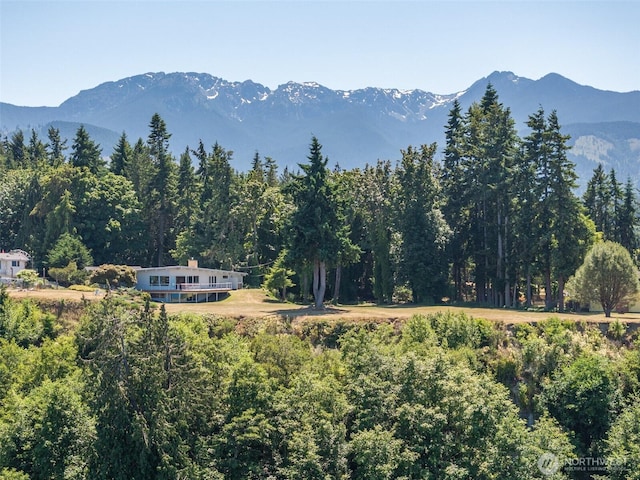 2641 E Bay St, Port Angeles, WA 98362 - view of mountain backdrop featuring a heavily wooded area