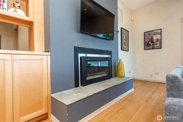 2641 E Bay St, Port Angeles, WA 98362 - living room with light wood-style flooring and a glass covered fireplace