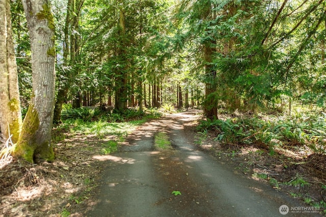 2641 E Bay St, Port Angeles, WA 98362 - view of road with a forest view