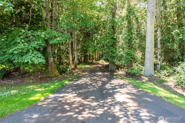 2641 E Bay St, Port Angeles, WA 98362 - view of road featuring a view of trees