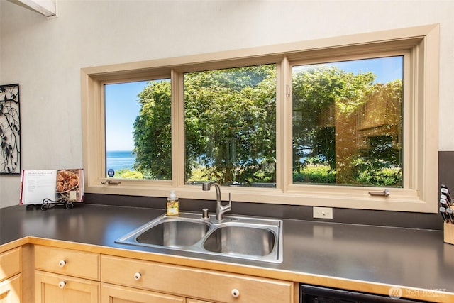 2641 E Bay St, Port Angeles, WA 98362 - kitchen featuring dishwasher, light brown cabinets, and dark countertops