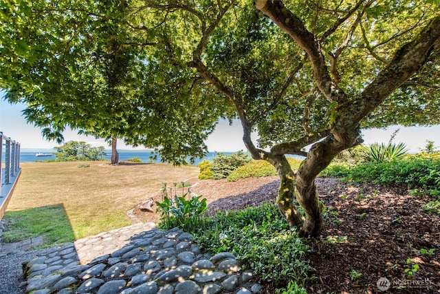 2641 E Bay St, Port Angeles, WA 98362 - view of green lawn with a water view