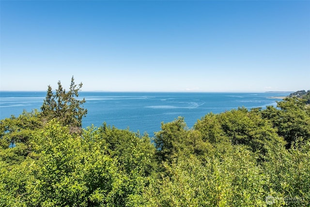 2641 E Bay St, Port Angeles, WA 98362 - water view