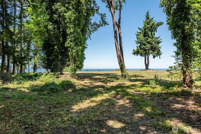 2641 E Bay St, Port Angeles, WA 98362 - view of local wilderness featuring a nearby body of water