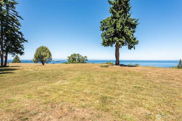 2641 E Bay St, Port Angeles, WA 98362 - view of green lawn featuring a water view