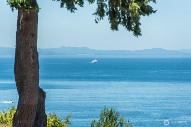 2641 E Bay St, Port Angeles, WA 98362 - water view with a mountain backdrop