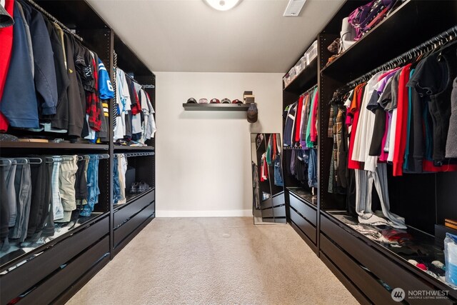 17116 138th Ave E, Puyallup, WA 98374 - walk in closet featuring carpet floors