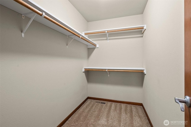 2309 43rd Ave SE, Puyallup, WA 98374 - walk in closet with carpet floors