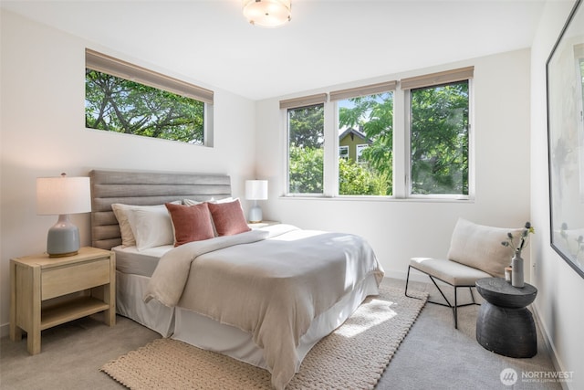 6012 Palatine Ave N, Seattle, WA 98103 - view of carpeted bedroom