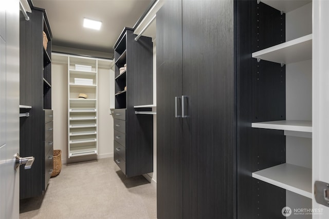 6012 Palatine Ave N, Seattle, WA 98103 - spacious closet featuring light colored carpet