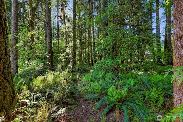 7010 Rainier Way, Deming, WA 98244 - view of woods