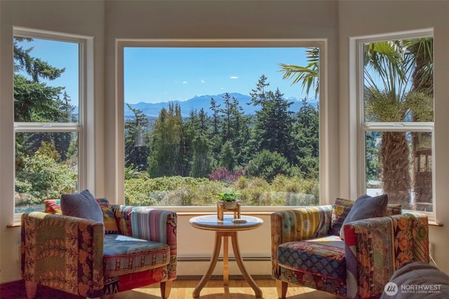 788 P St, Port Townsend, WA 98368 - sunroom with a baseboard radiator, a mountain view, and plenty of natural light
