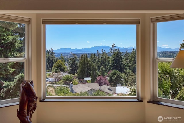 788 P St, Port Townsend, WA 98368 - detailed view of mountains