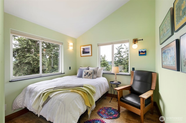 788 P St, Port Townsend, WA 98368 - bedroom featuring multiple windows, wood finished floors, and high vaulted ceiling